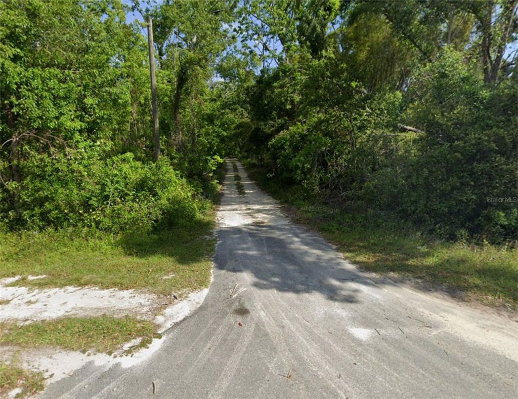 Photo of NW Wayne St, Mayo, FL 32066 (MLS # O6391115)