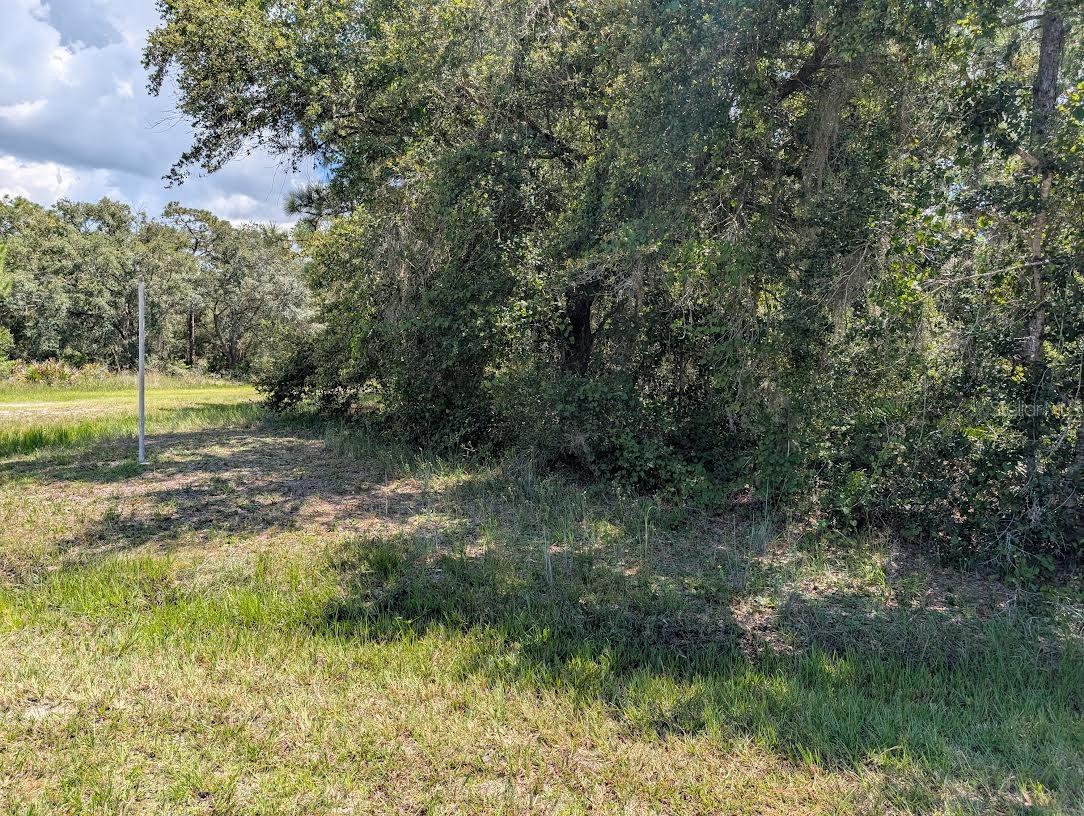 INDIAN LAKE ESTATES - Land