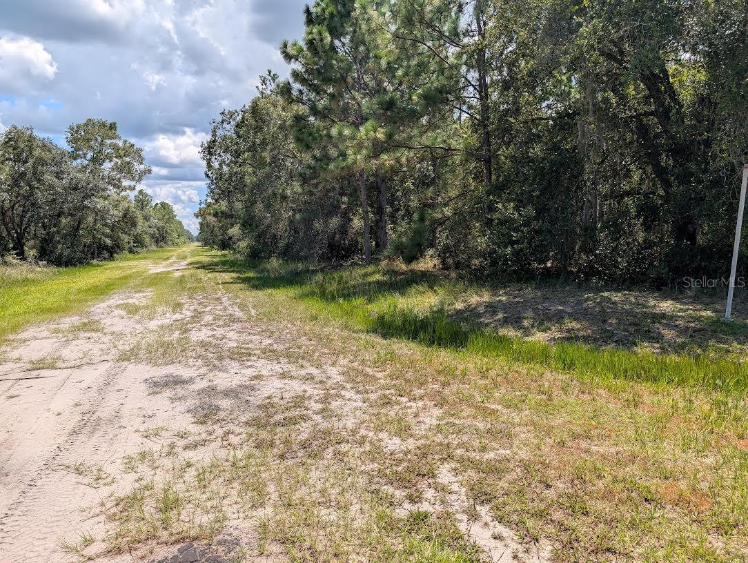INDIAN LAKE ESTATES - Land