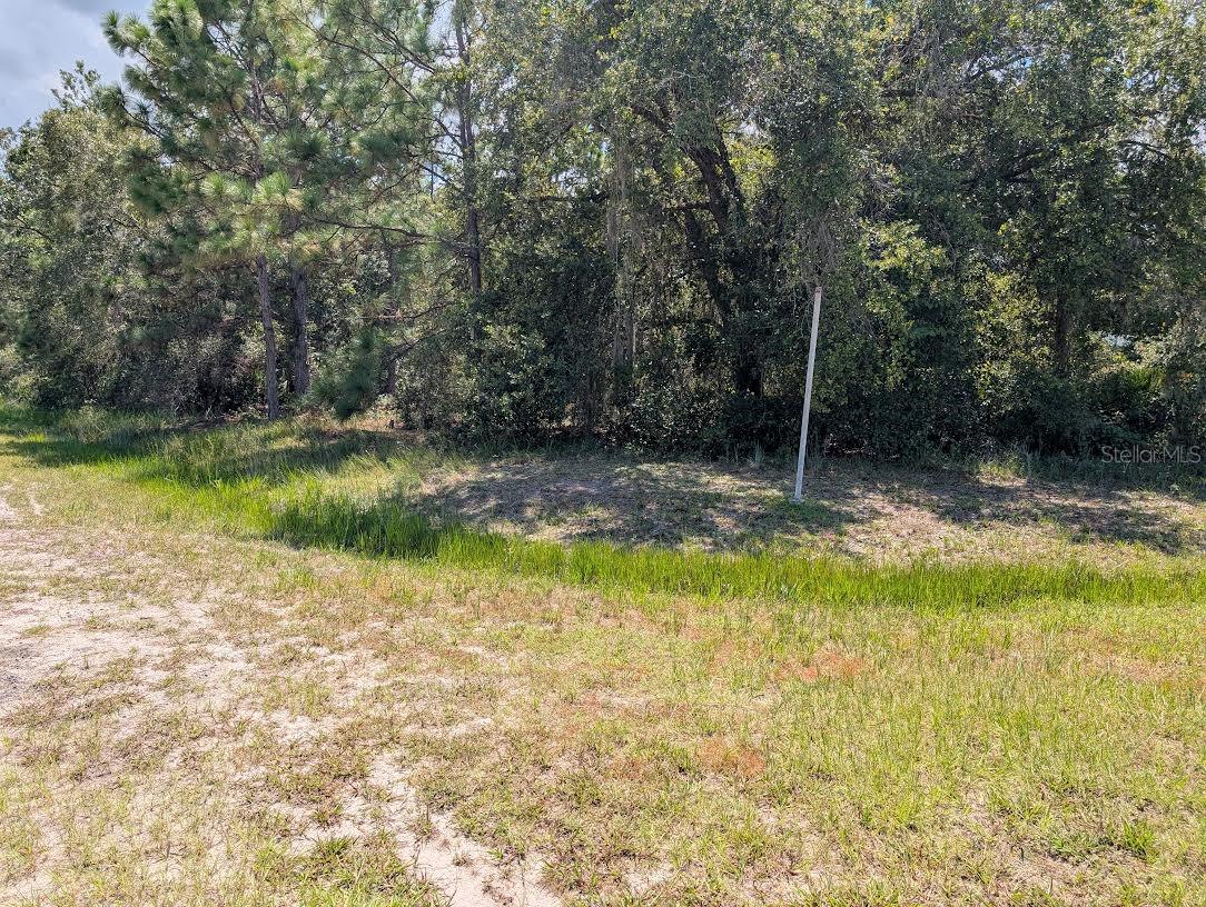 Come build your forever home on this one-half acre corner lot that located in the lake community of Indian Lake Estates, a golfing, fishing and boating community in the center of Florida. Indian Lake Estates is about 20 miles east of Lake Wales. The community surrounds the 7,500 acre lake locally known as Lake Walk In Water, nationally known for its fishing and considered to be one of the best bass fishing lakes in all Florida. The lake has a beach, boat ramp, boat marina and the longest freshwater Fishing pier in the State of Florida. The pavilion is located at the front of the pier and is complete with propane grills and covered picnic tables. The community amenities include an 18-hole golf course, basketball and tennis courts, 23, 000 sq.ft. clubhouse, cafe, post office, churches, library, fitness room and pro shop. If you love nature and the peace and quiet of the country you're in luck. Wildlife is plentiful! You will see deer, raccoon, turkey, turtles, cranes and various species of birds that call Indian Lake Estates their home. Orlando and Disney is only about an hour's drive north and Tampa, Busch Gardens, and the Gulf's pristine beaches only a little over an hour west. Historic Bok Tower, a National Landmark, is in nearby Lake Wales. The Westgate River Ranch Resort and Rodeo is just six miles away. An authentic Florida dude ranch and full-service resort offering guests the opportunity to experience "Old Florida." Encompassing 1,700 beautiful acres, Westgate River Ranch features horseback riding, wildlife airboat and swamp buggy rides, Saturday night championship rodeo, trap/skeet range, nature hikes, petting farm, marina, Adventure Park with zip line and rock climbing wall, Westgate Smokehouse Grill and River Ranch Saloon and much more. Cowboy-themed accommodations range from ranch-themed lodge guestrooms and deluxe lodge suites to spacious cottages, two-bedroom cabins, Glamping and Luxe Teepees. Come out and see how great life can be at Indian Lake Estates! Polk County's best kept secret!