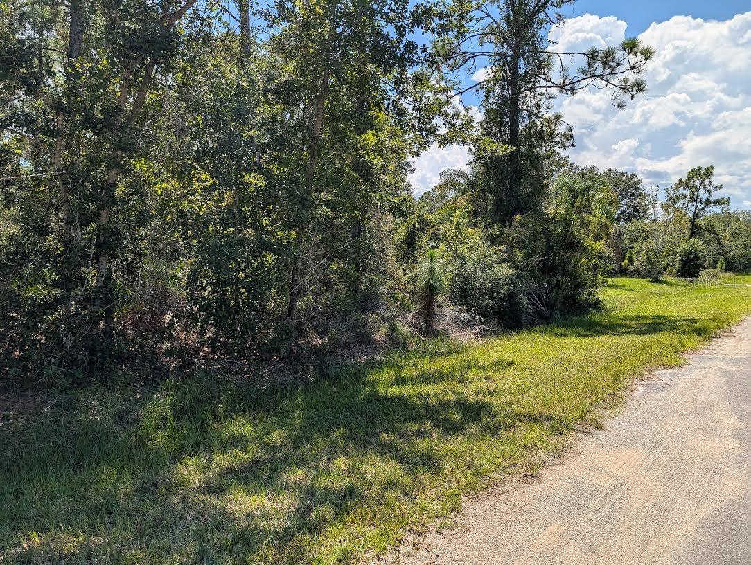 INDIAN LAKE ESTATES - Land