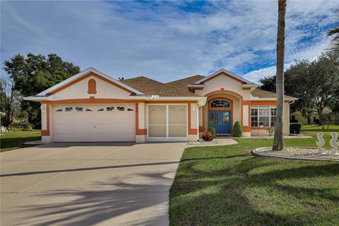 Photo of 320 Mcintosh Court, Spring Hill, FL 34609 (MLS # W7881099)