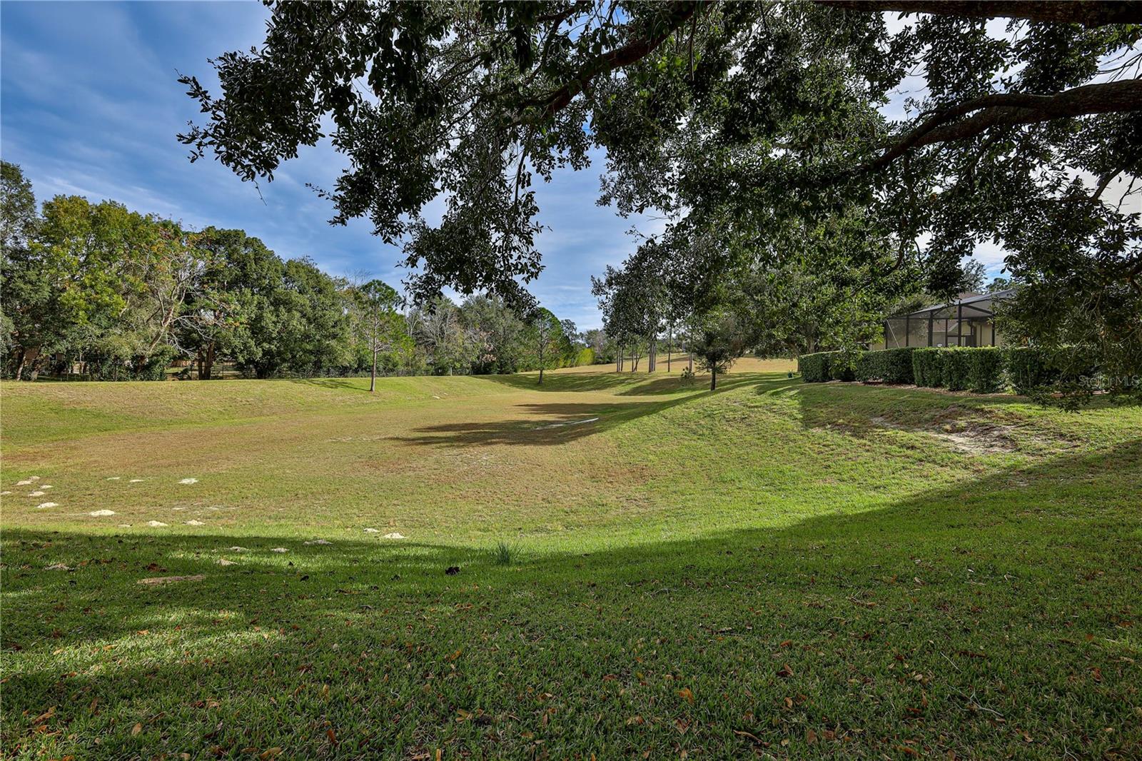 WELLINGTON AT SEVEN HILLS - Residential