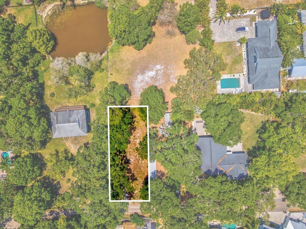 Photo of 428 Lemon Street, Palm Harbor, FL 34683 (MLS # TB8354656)