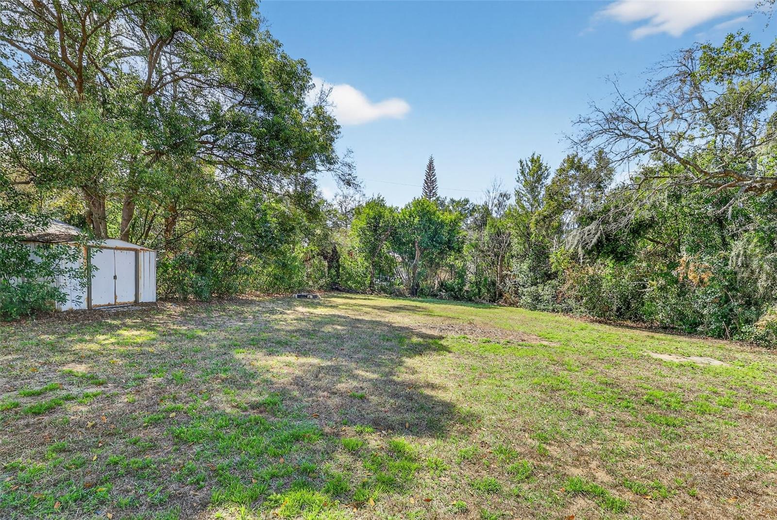 EUSTIS DRUID PARK - Residential