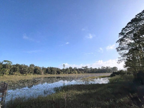 Tiny photo for 37443 Beach Drive, Umatilla, FL 32784 (MLS # O6453518)