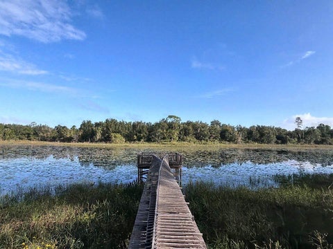 Tiny photo for 37443 Beach Drive, Umatilla, FL 32784 (MLS # O6453518)