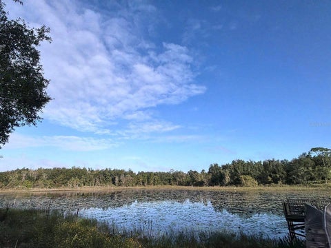 Tiny photo for 37443 Beach Drive, Umatilla, FL 32784 (MLS # O6453518)