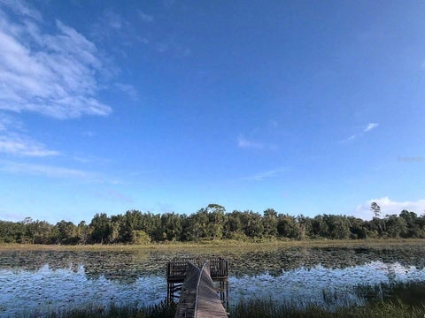 Tiny photo for 37443 Beach Drive, Umatilla, FL 32784 (MLS # O6453518)
