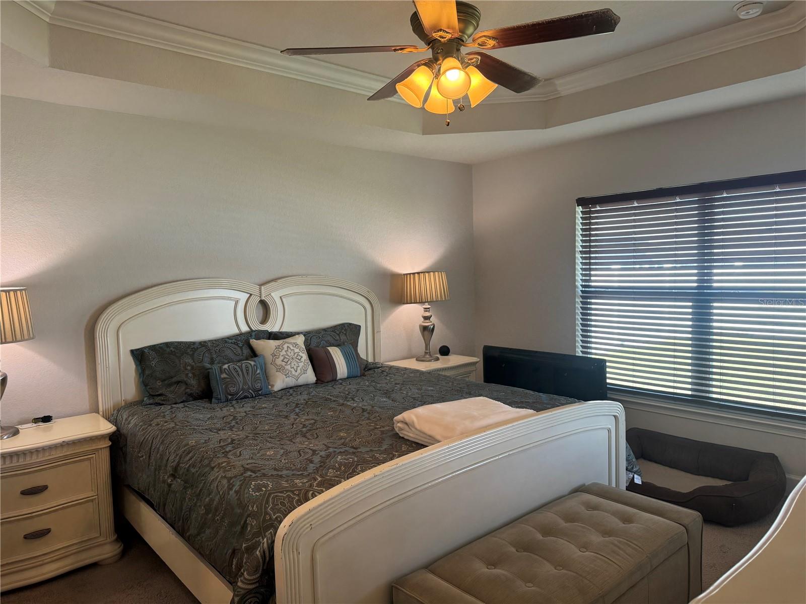 OAKS/OCALA XINGS SOUTH - Residential