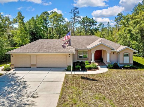 Photo of 28 Poppy Street, Homosassa, FL 34446 (MLS # TB8499532)