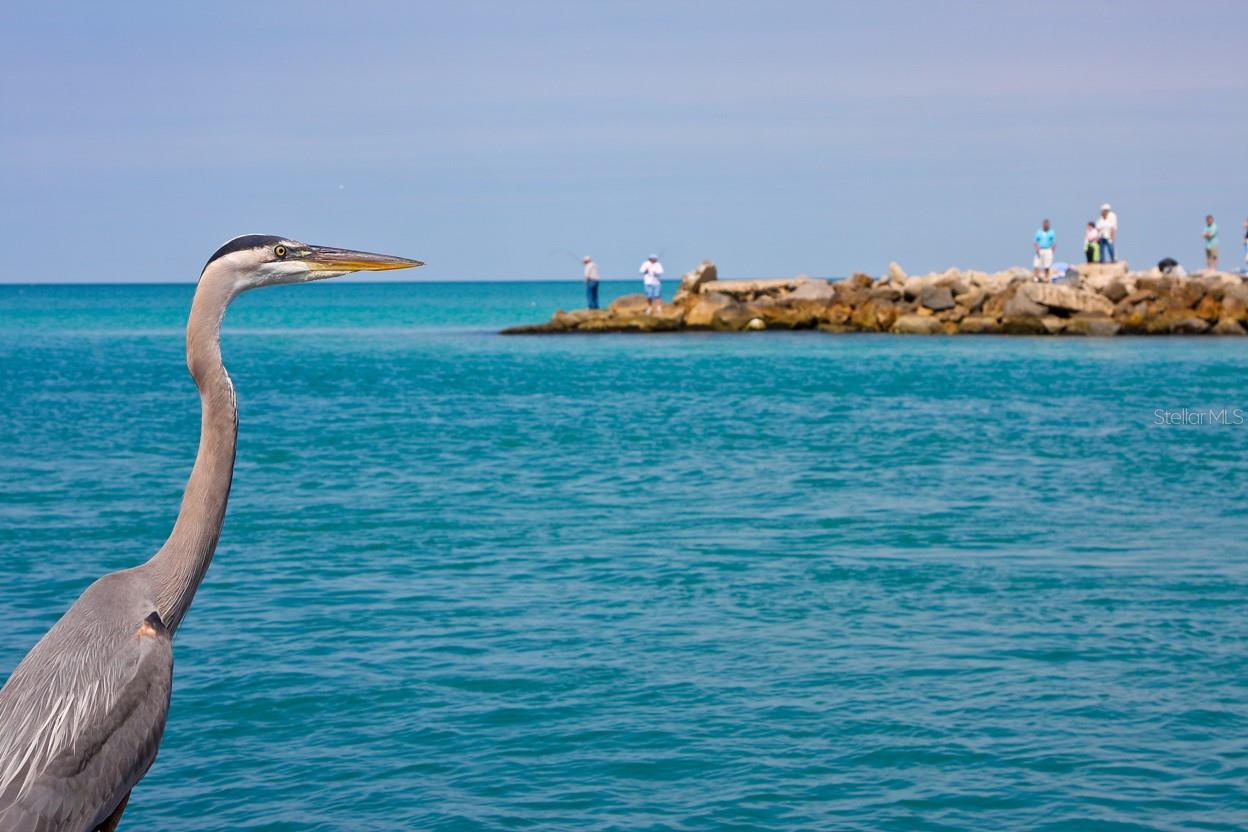 LAS CASAS - Residential