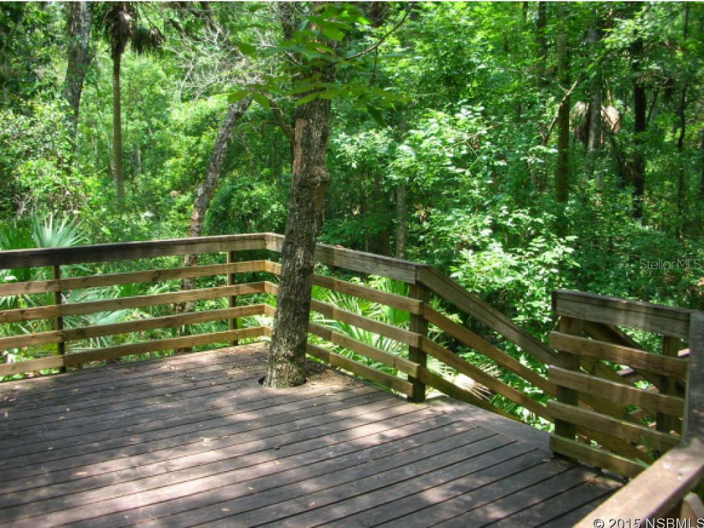 Wedgewood At Spruce Creek - Residential