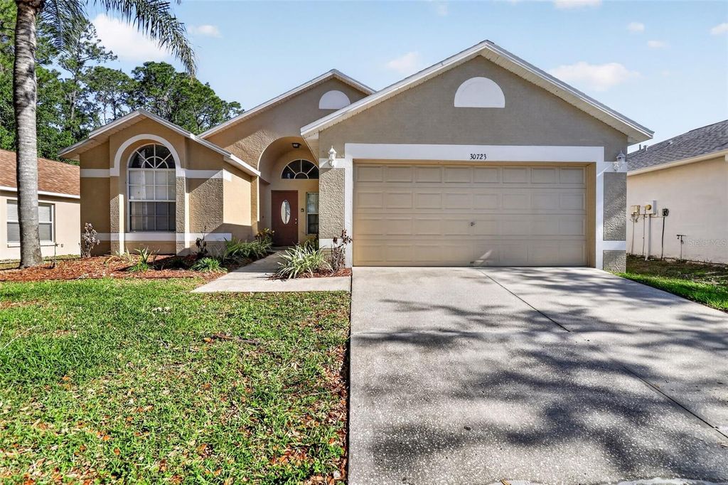 Photo of 30723 Birdhouse Drive, Wesley Chapel, FL 33545 (MLS # O6404447)