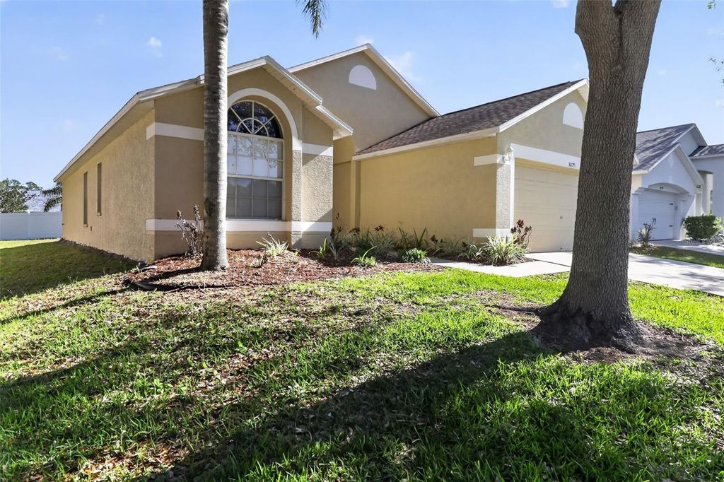 Photo of 30723 Birdhouse Drive, Wesley Chapel, FL 33545 (MLS # O6404447)