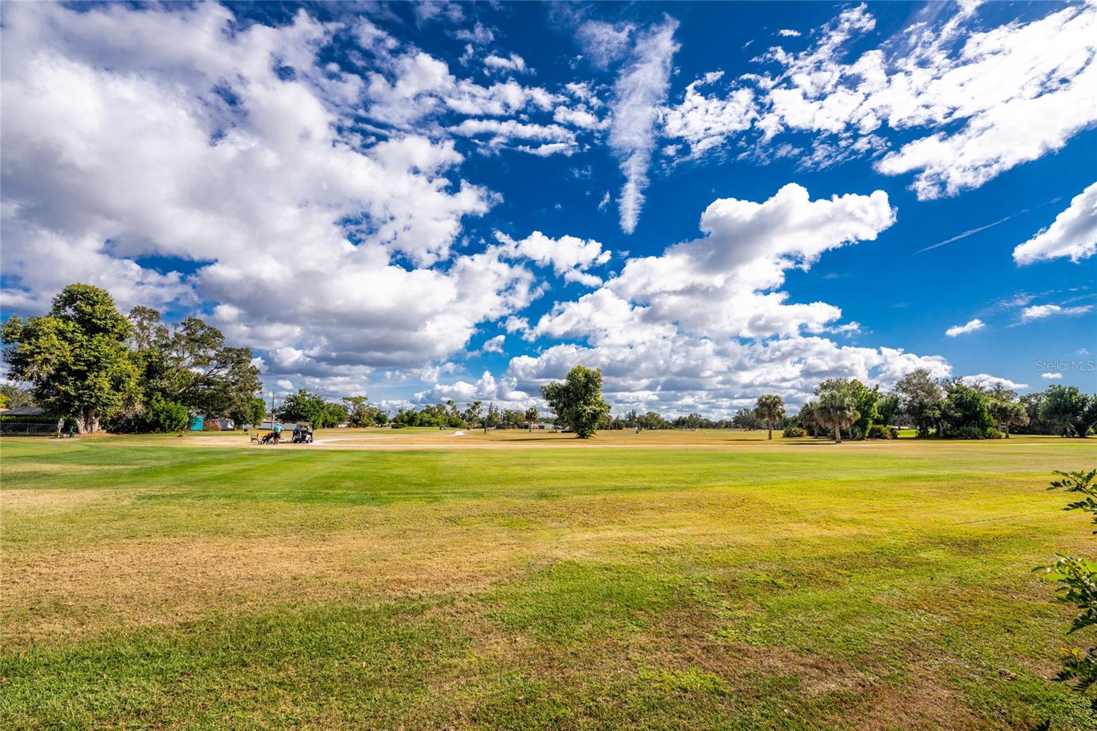 VENICE COUNTRY CLUB ESTATES RESUB - Residential Income