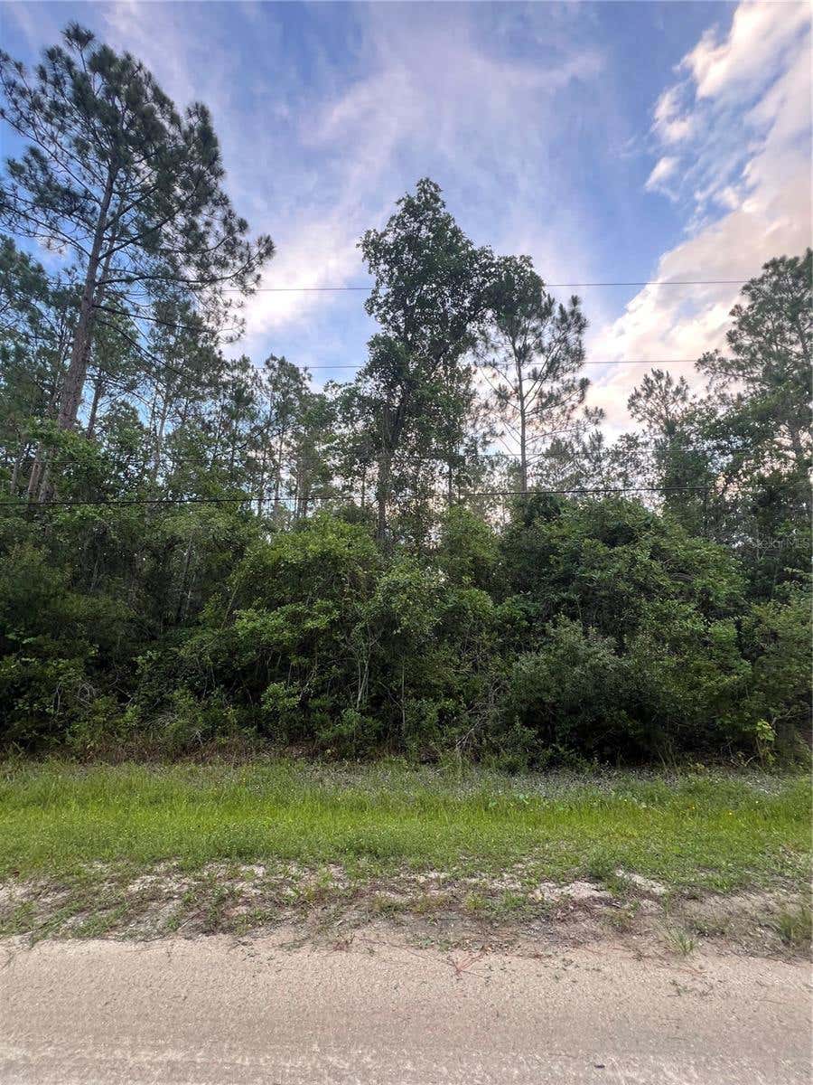 Photo of 1411 Elder Street, Bunnell, FL 32110 (MLS # FC319254)