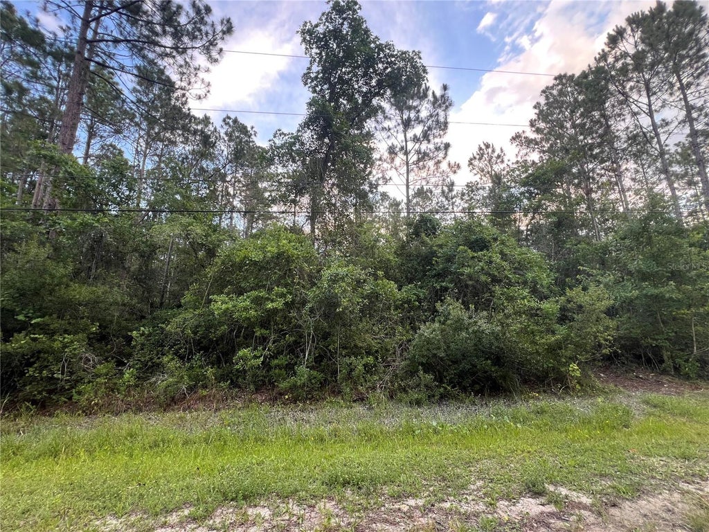 Photo of 1411 Elder Street, Bunnell, FL 32110 (MLS # FC319254)