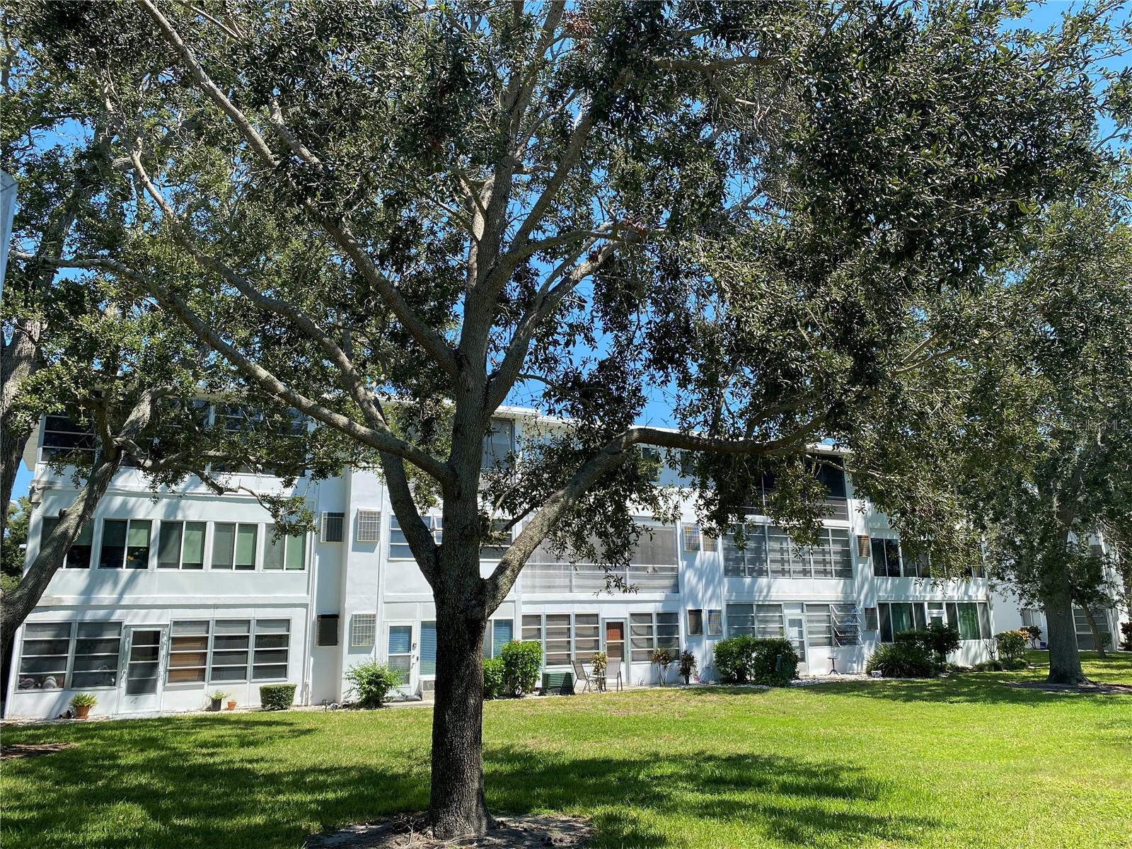 SEMINOLE GARDEN APTS CO-OP - Residential