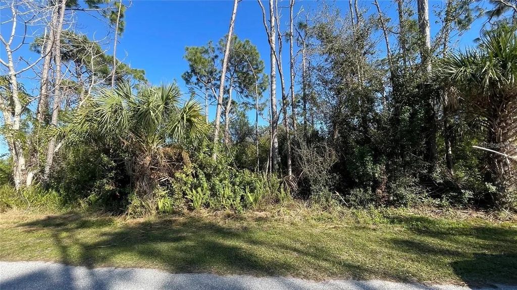 Photo of Port Charlotte, FL 33981 (MLS # O6406032)