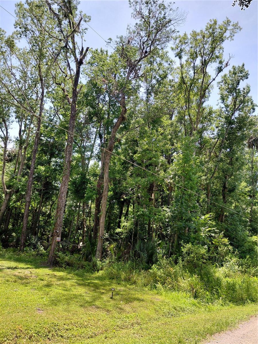 24028 BASS ROAD