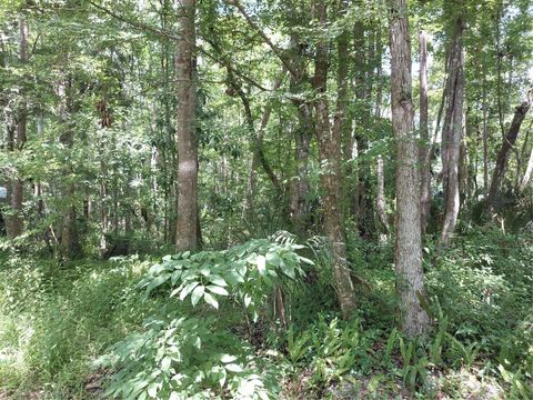 24028 BASS ROAD ASTOR FL 32102