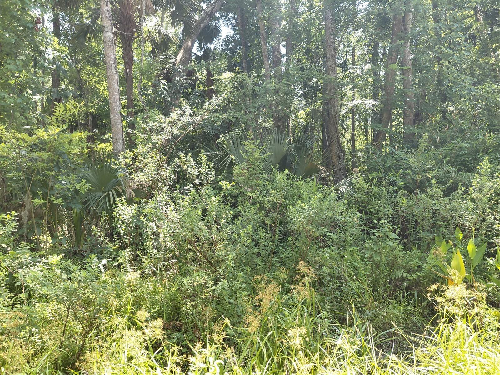 24028 BASS ROAD