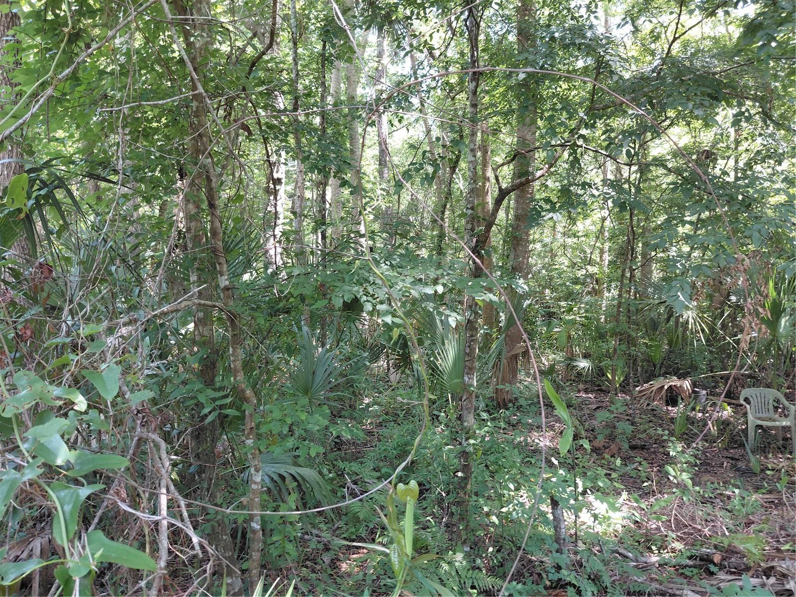 24028 BASS ROAD