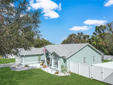 A home in SPRING HILL