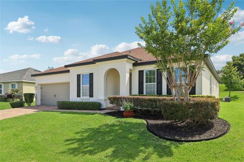 11313 LITTLE NELLIE DRIVE CLERMONT FL 34711