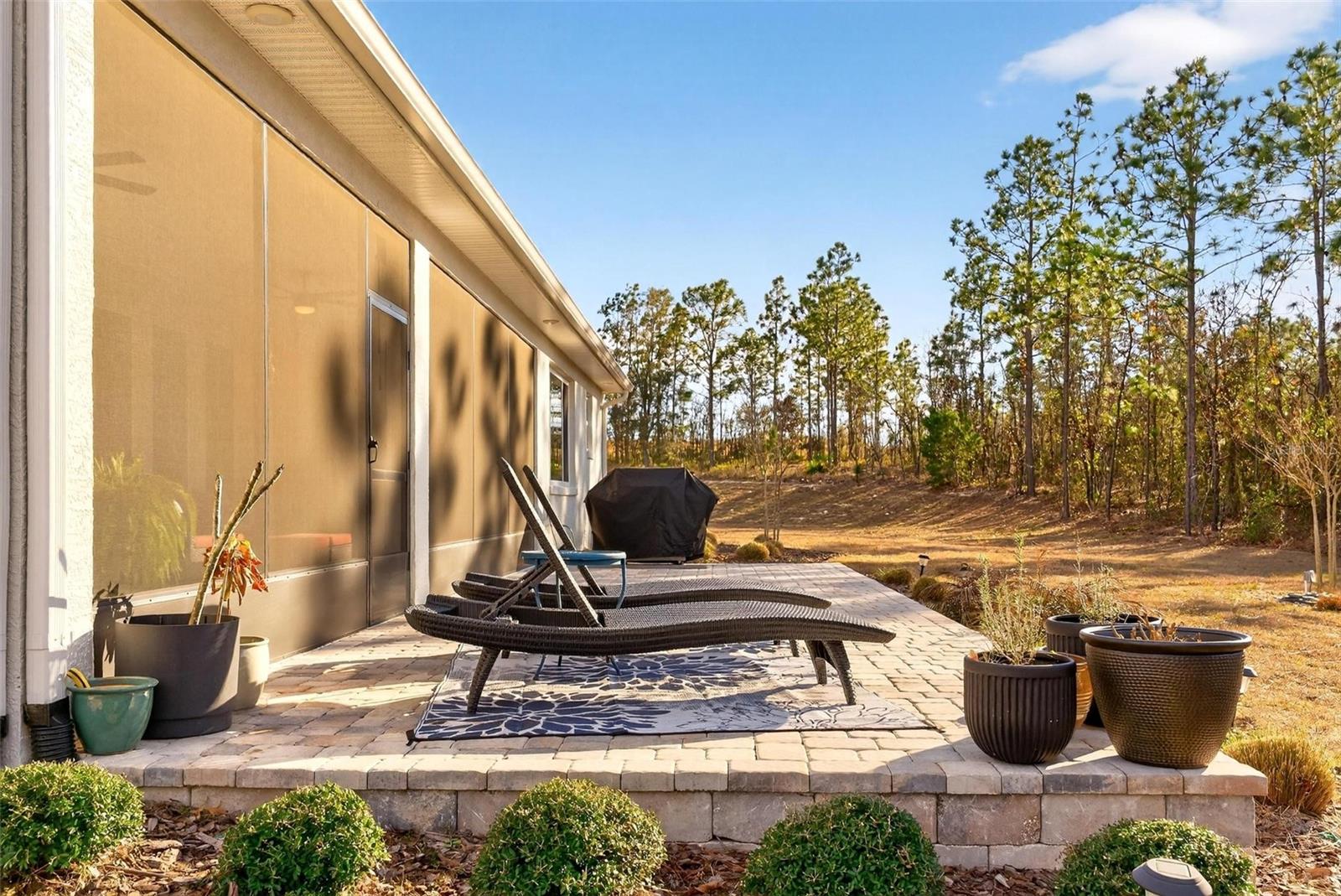 ON TOP OF THE WORLD - LONGLEAF RIDGE - Residential