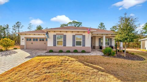 Photo of 9746 SW 108th Terrace Road, Ocala, FL 34481 (MLS # OM717224)
