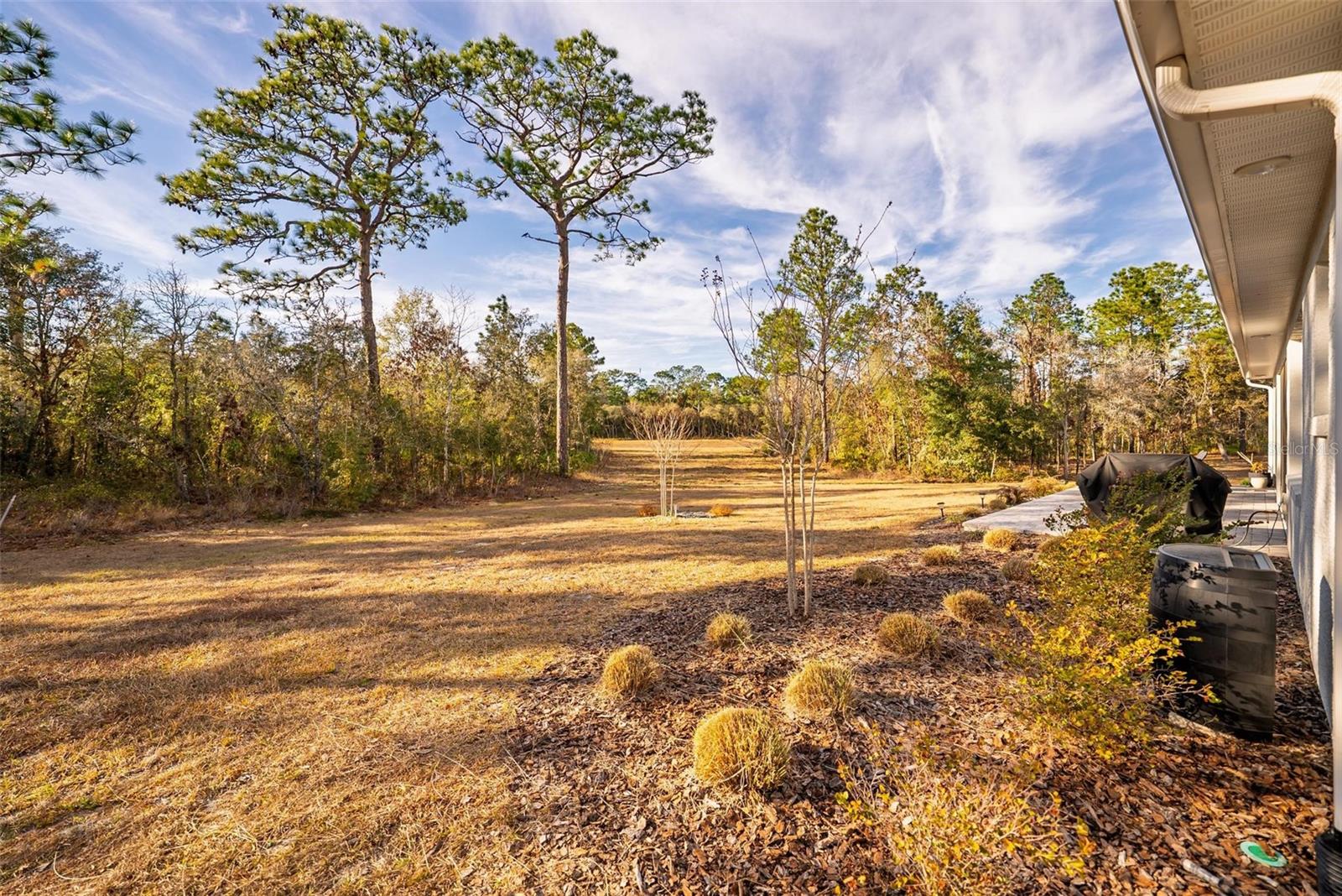 ON TOP OF THE WORLD - LONGLEAF RIDGE - Residential