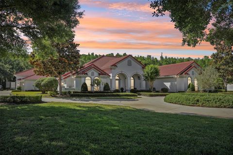 Photo of 16117 Suncrest Shores Drive, Odessa, FL 33556 (MLS # TB8503915)