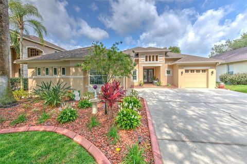 Single Family Residence in VALRICO FL 5840 BENT GRASS DRIVE.jpg