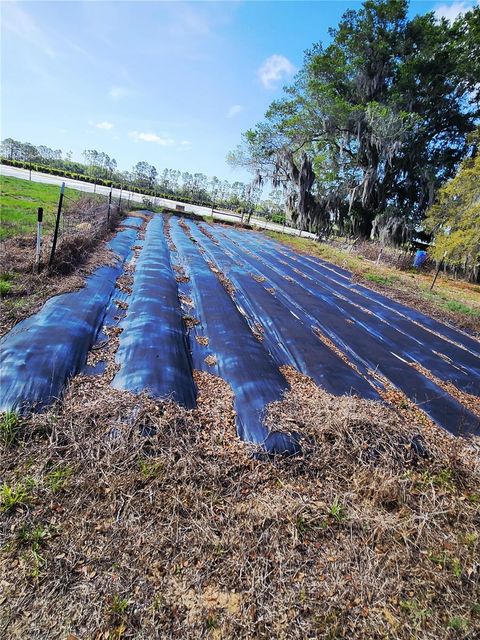 Tiny photo for 23100 SE Highway 42, Umatilla, FL 32784 (MLS # O6395337)