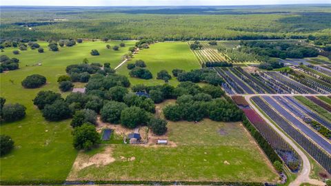 Tiny photo for 23100 SE Highway 42, Umatilla, FL 32784 (MLS # O6395337)