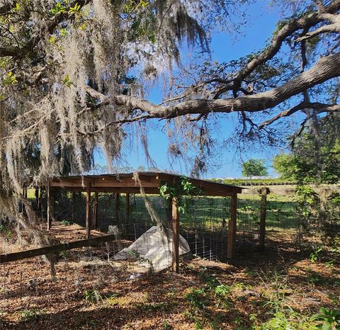 Tiny photo for 23100 SE Highway 42, Umatilla, FL 32784 (MLS # O6395337)