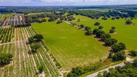 Tiny photo for 23100 SE Highway 42, Umatilla, FL 32784 (MLS # O6395337)