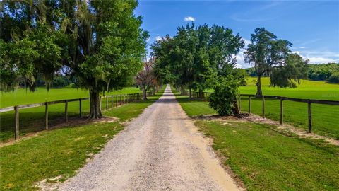 Tiny photo for 23100 SE Highway 42, Umatilla, FL 32784 (MLS # O6395337)