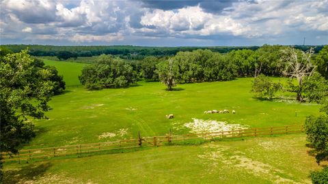Tiny photo for 23100 SE Highway 42, Umatilla, FL 32784 (MLS # O6395337)