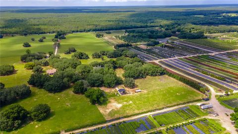 Tiny photo for 23100 SE Highway 42, Umatilla, FL 32784 (MLS # O6395337)