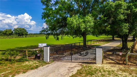 Tiny photo for 23100 SE Highway 42, Umatilla, FL 32784 (MLS # O6395337)