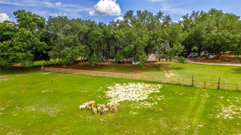 Tiny photo for 23100 SE Highway 42, Umatilla, FL 32784 (MLS # O6395337)