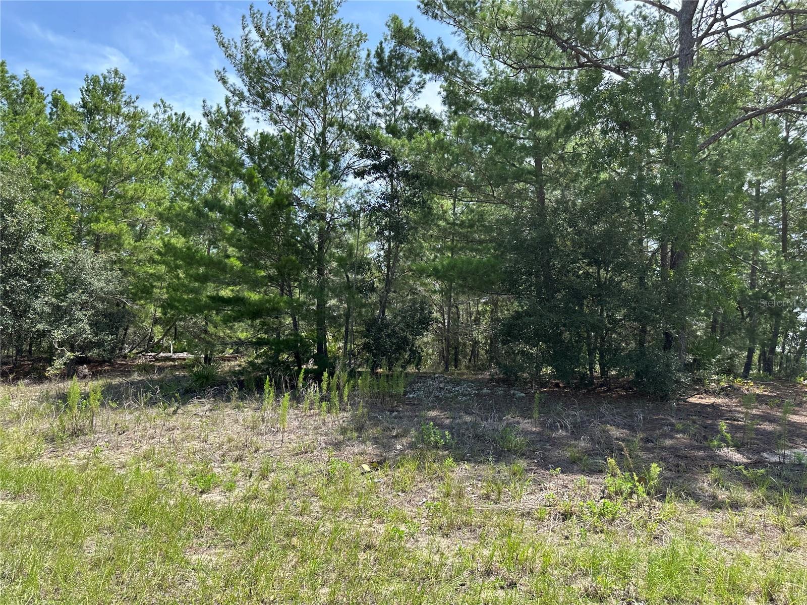 Great Corner lot is Citrus Springs. .30 of an acre to build that home of your dreams. Go take a look! Don't let this one get away.