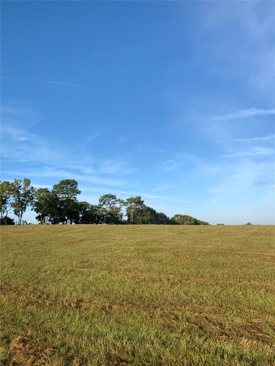 NORTH STAR FARMS - Residential