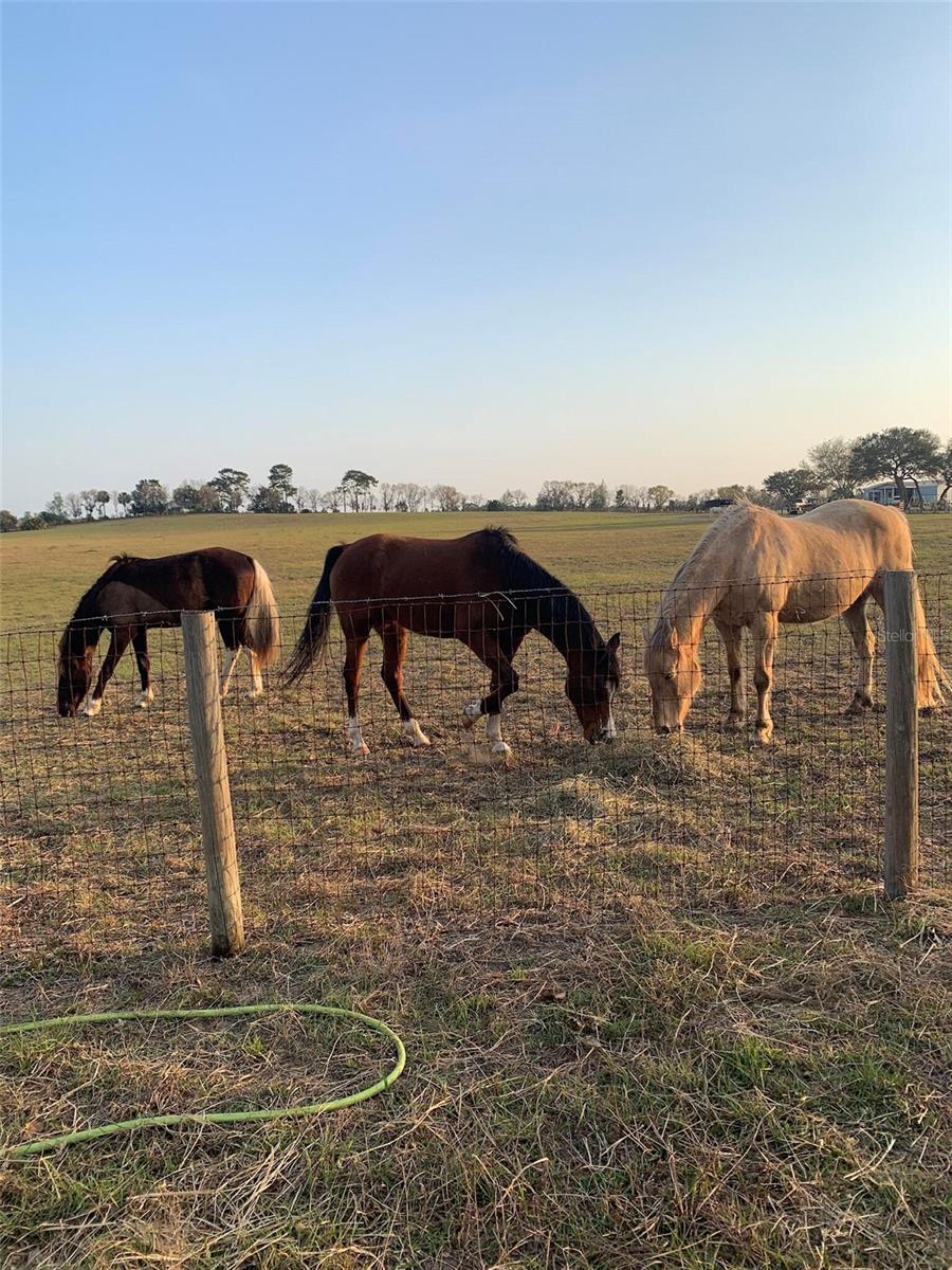 NORTH STAR FARMS - Residential