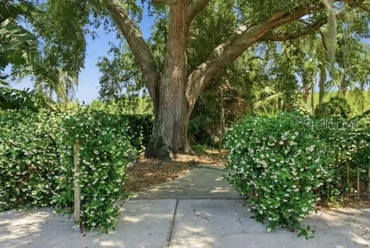 CHEVAL POLO & GOLF CL PHAS - Residential