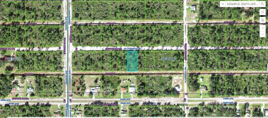This 0.50-acre vacant lot at 711 El Dorado Drive , Florida, offers a peaceful setting to build your dream spot. With plenty of space for outdoor living and convenient access to community amenities such as a golf course, marina, and Lake Walk-in-Water, this property is perfect for creating your ideal Florida lifestyle! Note: buyers I emphasize the importance of conducting thorough due diligence to ensure that the property meets your expectations and requirements.