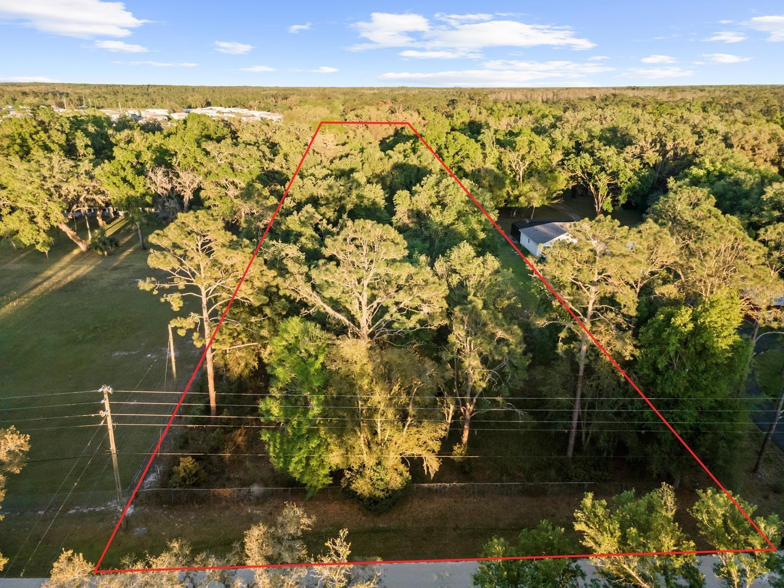 Listing image 6